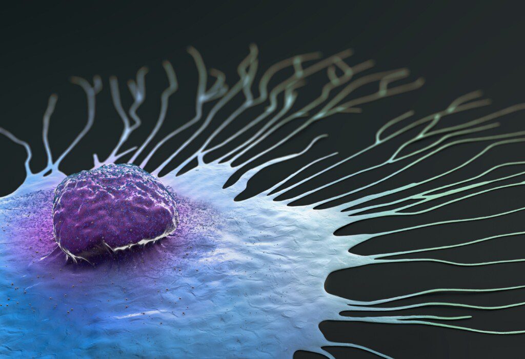 Genmutation