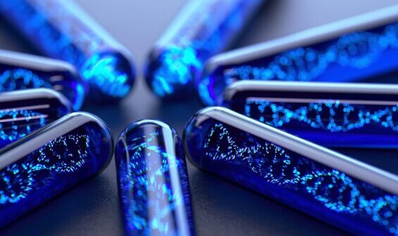 Genuntersuchung Reagenzglas