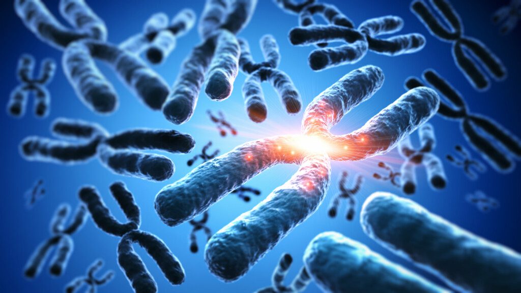 ESR1-Mutation bei Brustkrebs