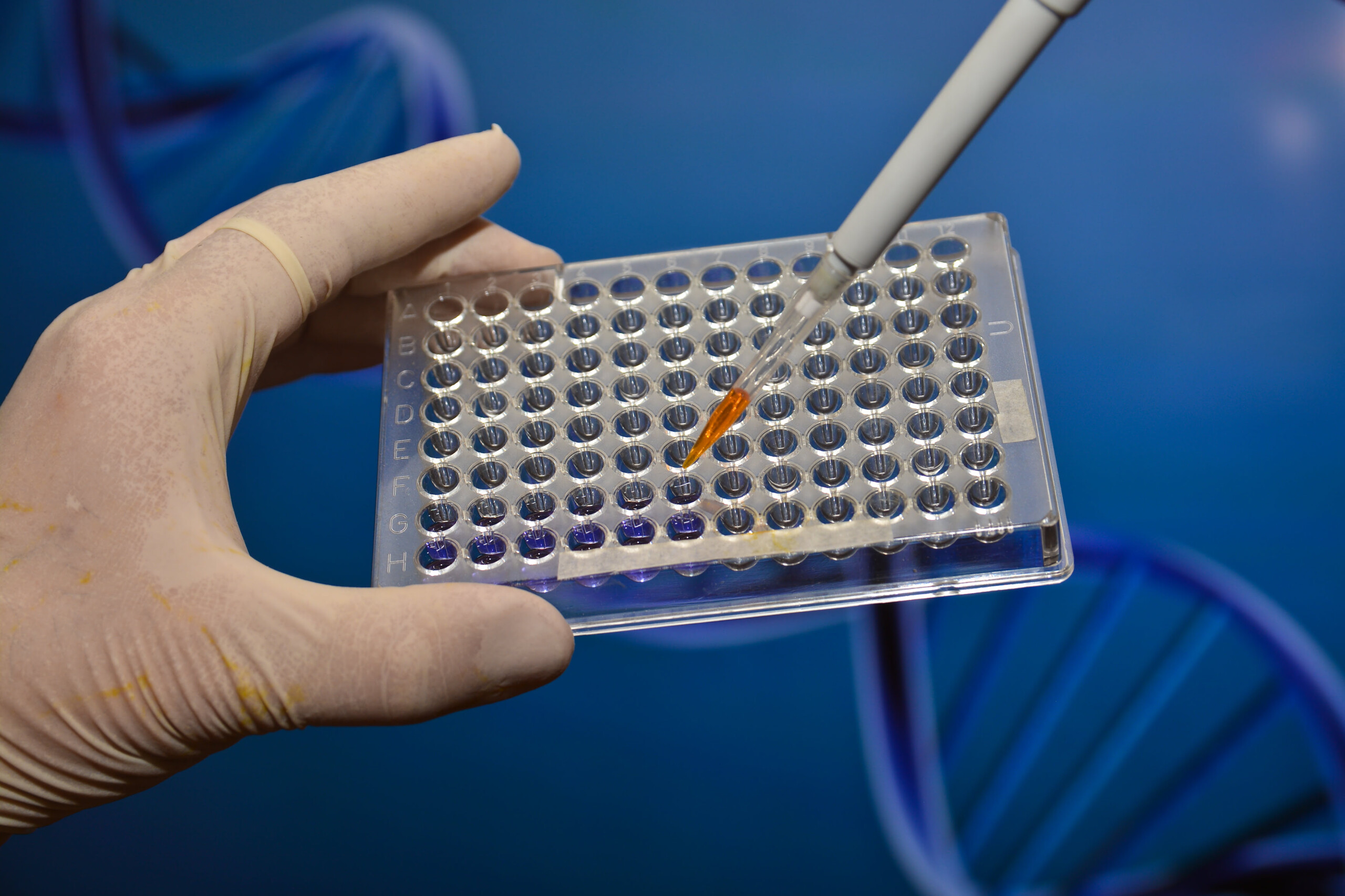 BRCA2 genauer charakterisiert